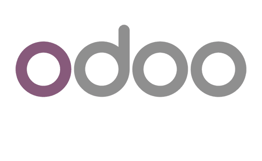 Odoo Implementation Partner